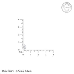 Silver Stardust Sparkles Earrings