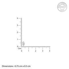 Silver Shiny Rhombus Studs