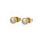 Eternal Shine - Lab Diamond Solitaire Stud Earrings