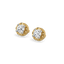 Solitaire Shine - Pure Gold Lab Diamond Stud Earrings