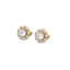 Encircled Solitaire - Pure Gold Lab Diamond Earrings