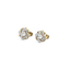 Encased Solitaire - Lab Diamond Earrings