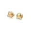 Cradle Glow - Lab Diamond Stud Earrings
